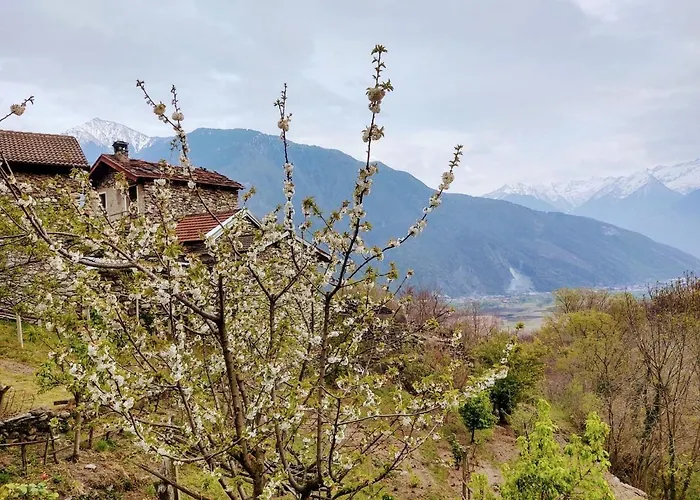 Raviscioni Albino By Interhome