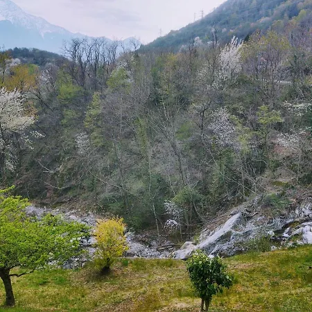 Апартаменты Raviscioni Albino By Interhome