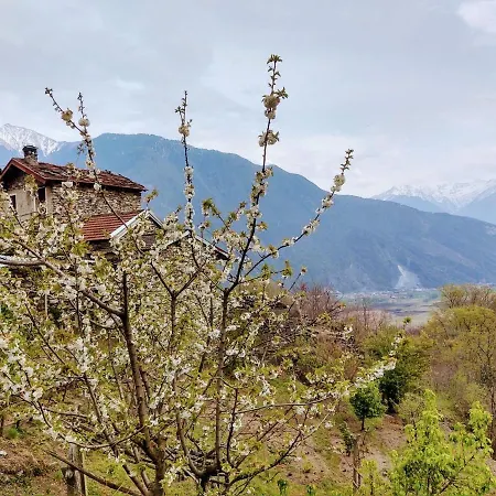 Raviscioni Albino By Interhome